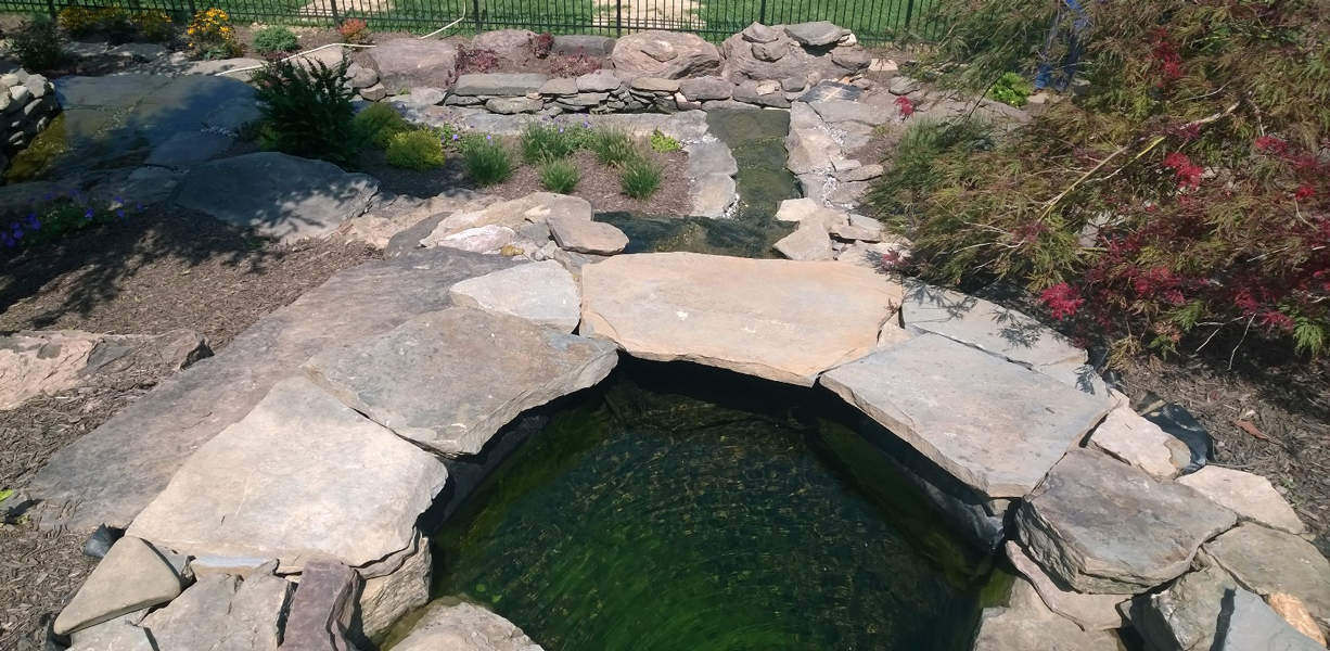 12,000 gal pond by 82 Rents, Chester Springs, PA www.82rentsandservices.com