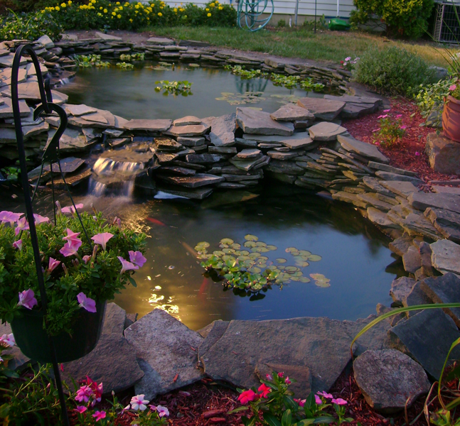 Pond installation by Aquacorps Design Studios, Ft. Washington, PA www.aquacorpsdesignstudio.com