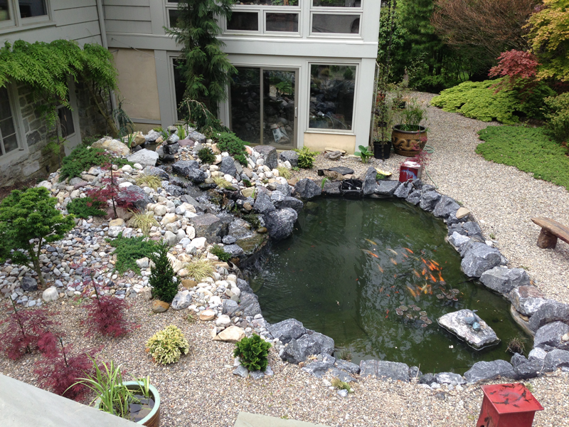 Pond installation by Aquacorps Design Studios, Ft. Washington, PA www.aquacorpsdesignstudio.com