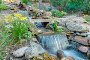 Pond Circulation