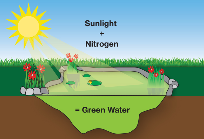 Sun Cycle